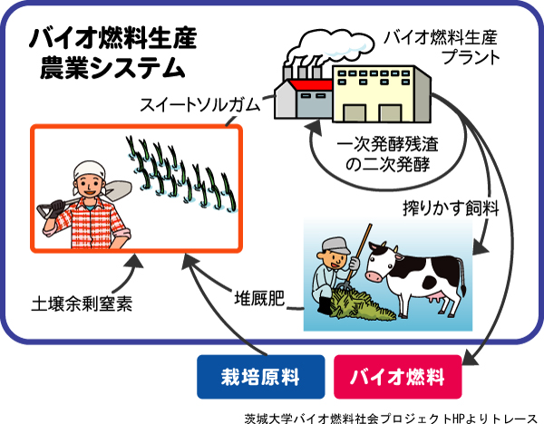 協同 セール 組合 エコリード