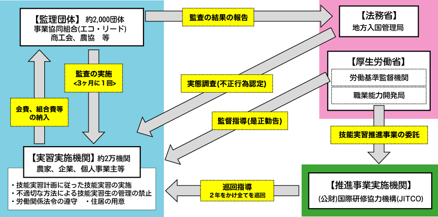 協同 セール 組合 エコリード