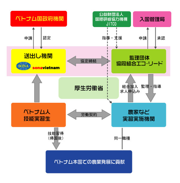 協同 セール 組合 エコリード